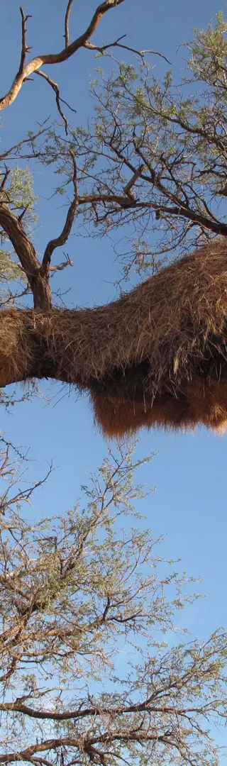 Namibrand Nature Reseve